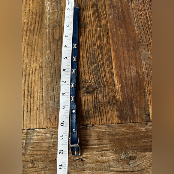 Other - Blue Leather Dog Collar